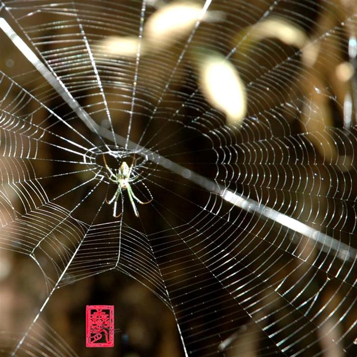 Ảnh Nghệ Thuật 2