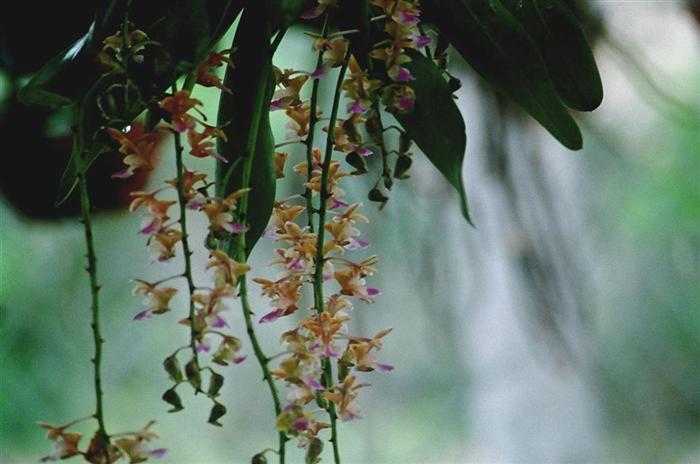 Ảnh Nghệ Thuật 4